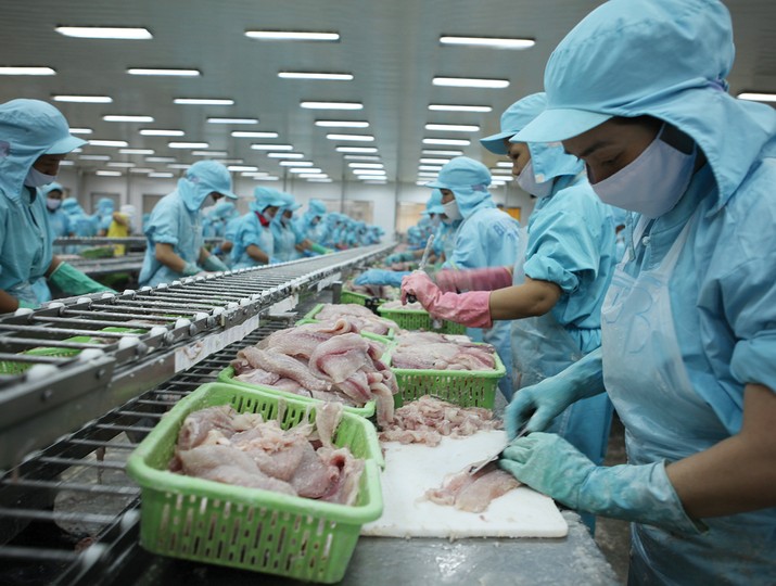 Từ ngày 7/8/2025, Mỹ áp thuế đối ứng 20% với thủy sản Việt Nam