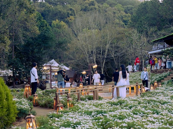 Lâm Đồng sẽ thanh, kiểm tra hoạt động “tour giá rẻ”
