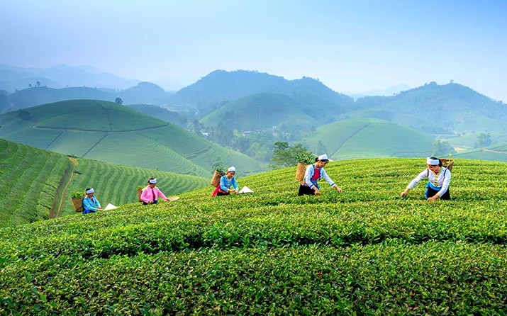 Thái Nguyên kết hợp phát triển OCOP và du lịch nông thôn bền vững 