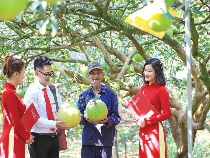 Tính đến 30/9/2025, dư nợ tín dụng xanh của Agribank đạt 28.355,5 tỷ đồng