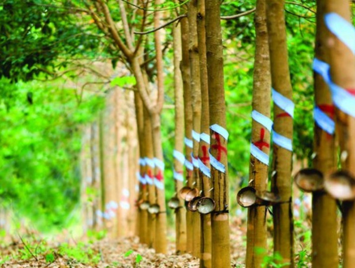 Cổ phiếu cần quan tâm ngày 23/9
