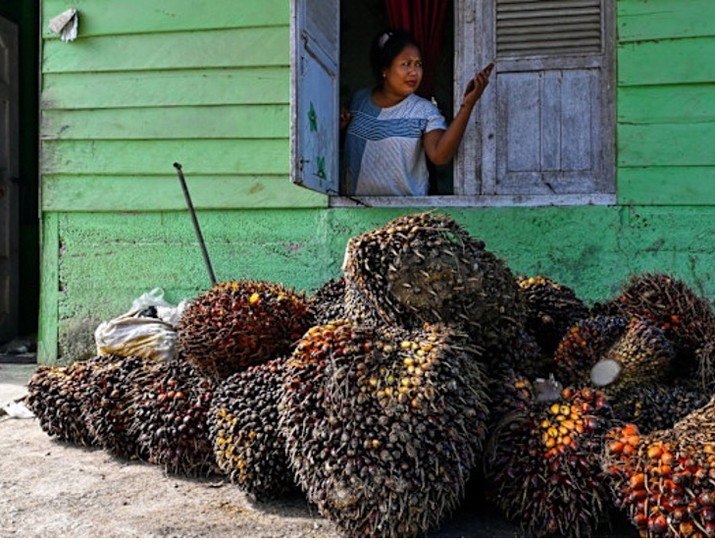 Cú sốc năng lượng khiến nhu cầu nhiên liệu sinh học tăng vọt