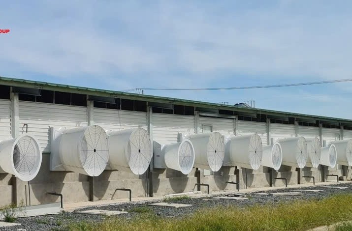 Siba Group (SBG) thay Kế toán trưởng