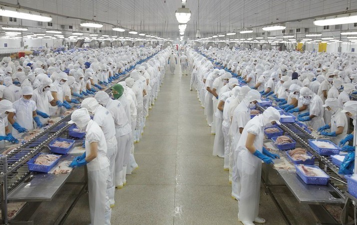 Doanh thu Vĩnh Hoàn (VHC) giảm 10% trong tháng 7/2026