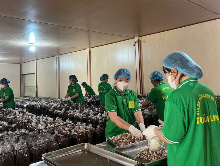 Quảng Trị hiện có nhiều chính sách hỗ trợ cho các doanh nghiệp thúc đẩy mở rộng thị trường, nâng cao năng lực cạnh tranh.