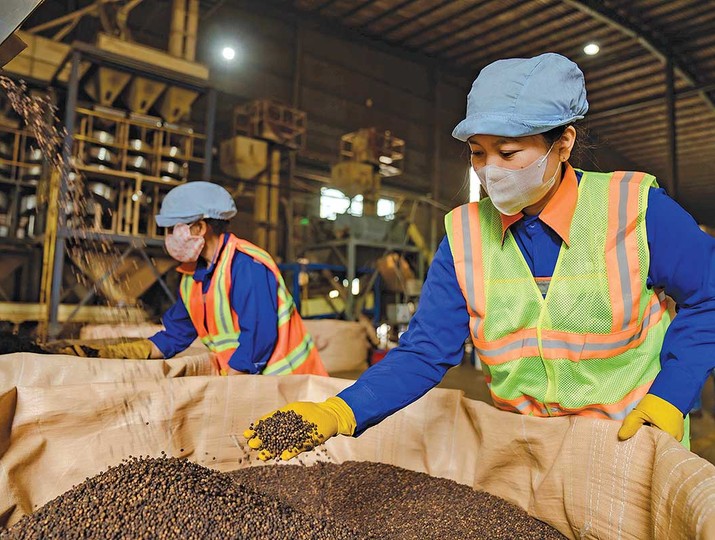 Giá nguyên vật liệu và logistics đồng loạt tăng khiến chi phí của doanh nghiệp đội lên rất nhiều (Ảnh: P.V) 