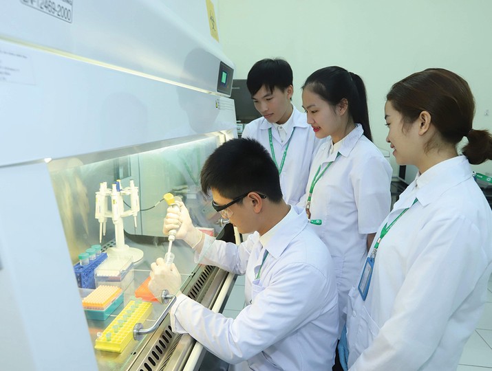 Dự kiến học sinh, sinh viên đang học đại học, cao đẳng, trung học chuyên nghiệp hoặc học nghề, nếu có thu nhập 3 triệu đồng/tháng sẽ được xác định là người phụ thuộc