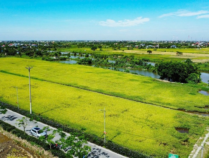Hải Phòng phát triển nông thôn bền vững với Bộ tiêu chí nông thôn mới giai đoạn 2026-2030 