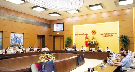 Ủy ban Thường vụ Quốc hội cho ý kiến về Dự án một luật sửa một số điều của 3 luật 