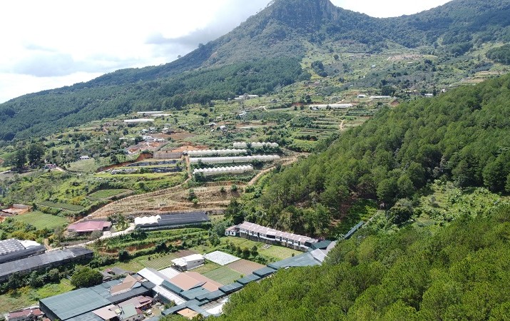 Theo Sở Nông nghiệp và Môi trường tỉnh Lâm Đồng, trường hợp đất bị cấp chồng lấn hoặc cấp sai vị trí thì thực hiện thu hồi, cấp đổi hoặc cấp lại theo đúng trình tự, thủ tục và thẩm quyền. Ảnh: Linh Đan 