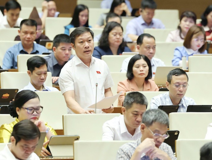 Đại biểu Nguyễn Khánh Vũ phát biểu - Ảnh: Quang Phúc.
