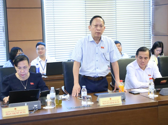 Đại biểu Nguyễn Đình Xuân phát biểu tại tổ. 