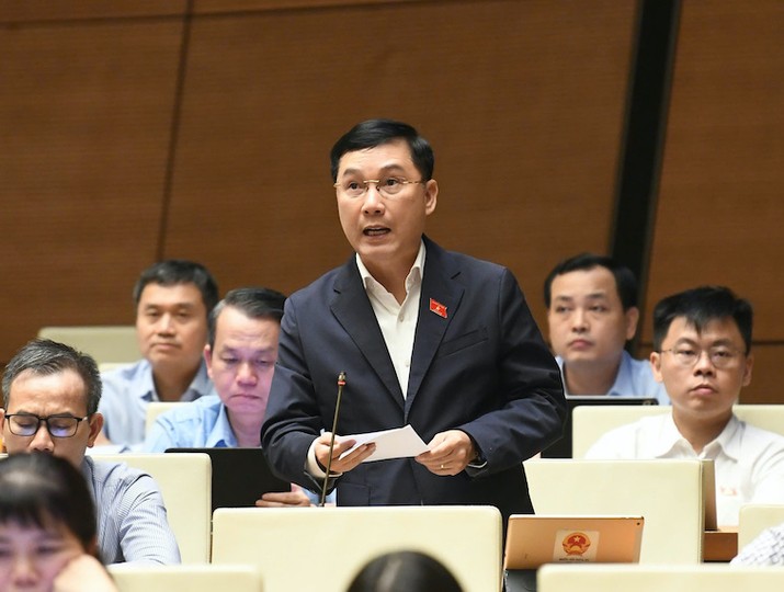 Đại biểu Lê Hoàng Anh tham gia thảo luận. Ảnh: Như Ý .