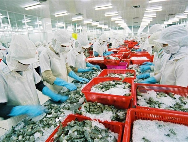 Thuế 12,5% của Mỹ chưa phải cú sốc, nhưng đủ làm thay đổi cuộc đua cạnh tranh của thủy sản Việt