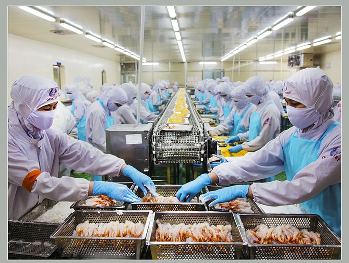 Xuất khẩu thuỷ sản tháng đầu năm 2026 tăng 13%, cá tra tăng trưởng bứt phá