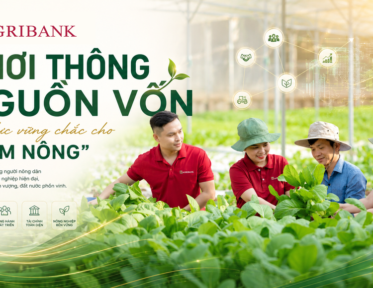 Tổ vay vốn Agribank: Khơi thông nguồn vốn, trợ lực vững chắc cho “Tam nông”