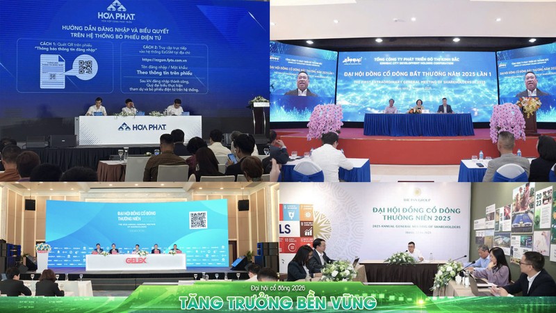 Giải pháp EzGSM đã được kiểm chứng tại nhiều doanh nghiệp có quy mô hàng chục nghìn, hàng trăm nghìn cổ đông như Hòa Phát, Kinh Bắc, Gelex, PAN...