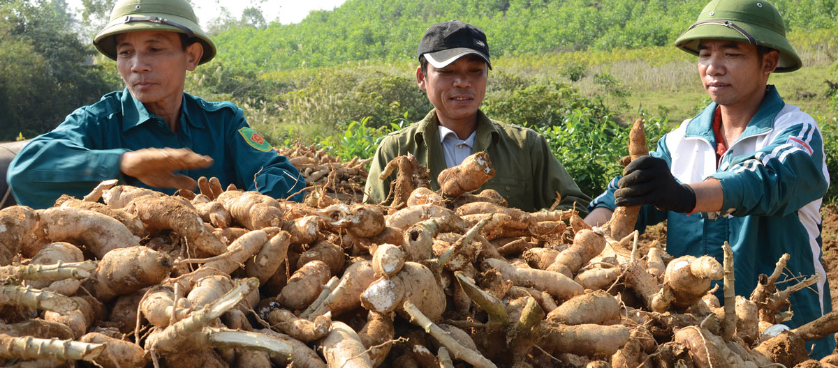 diem sang kinh te tu nhan trong phat trien nong nghiep ben vung