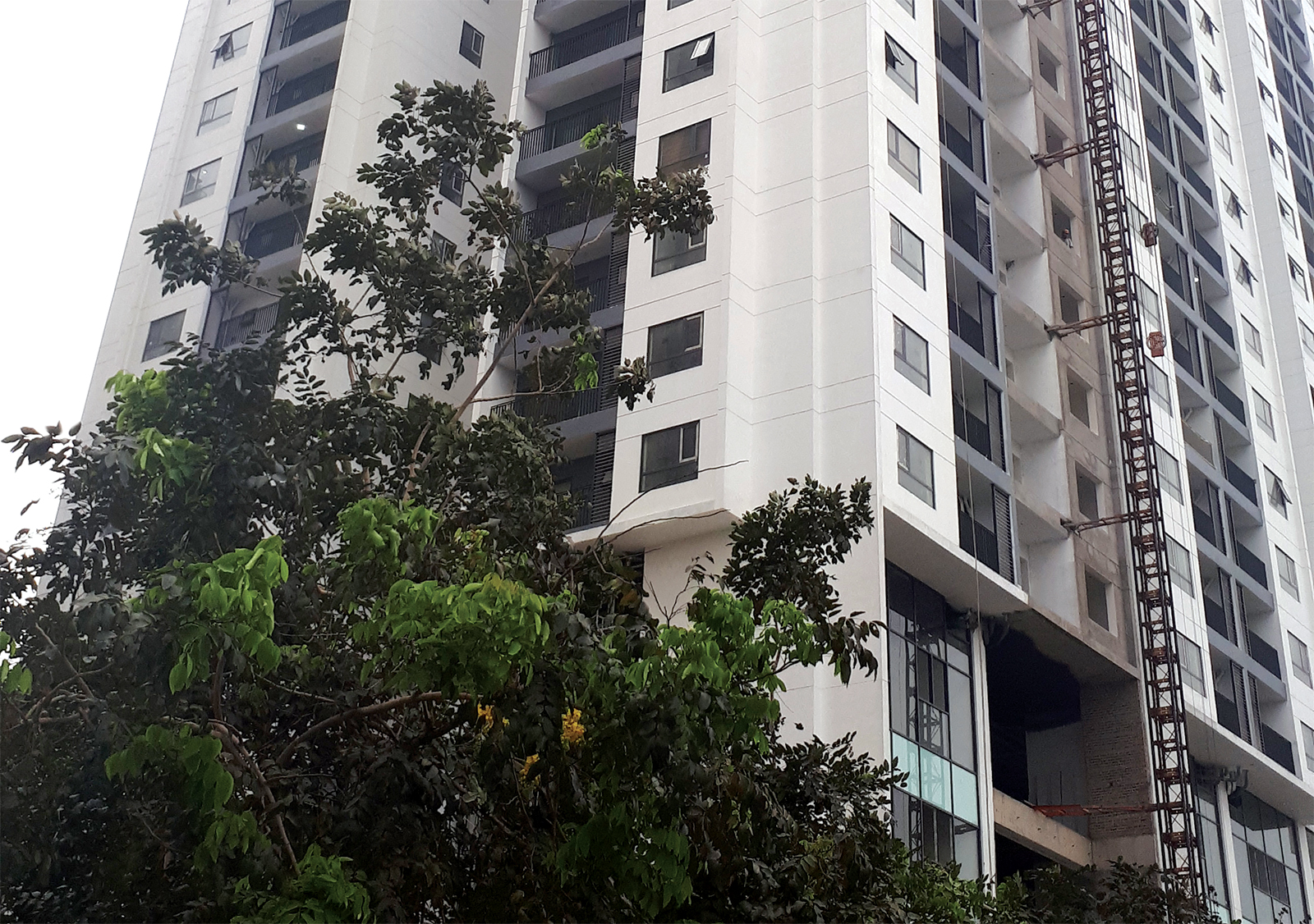 Địa ốc Việt - Điểm đến dòng tiền sau đại dịch