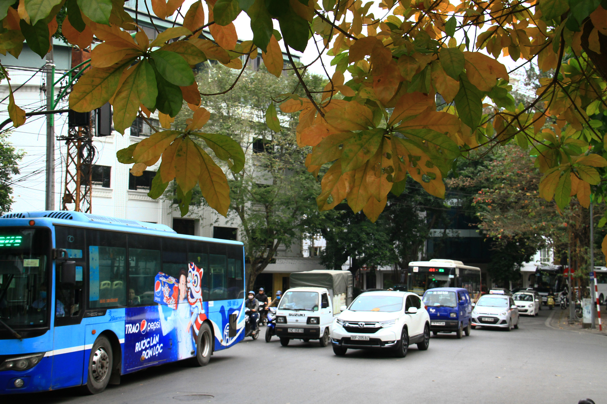 Hà Nội như Thu. Ảnh: Thành Nguyễn.