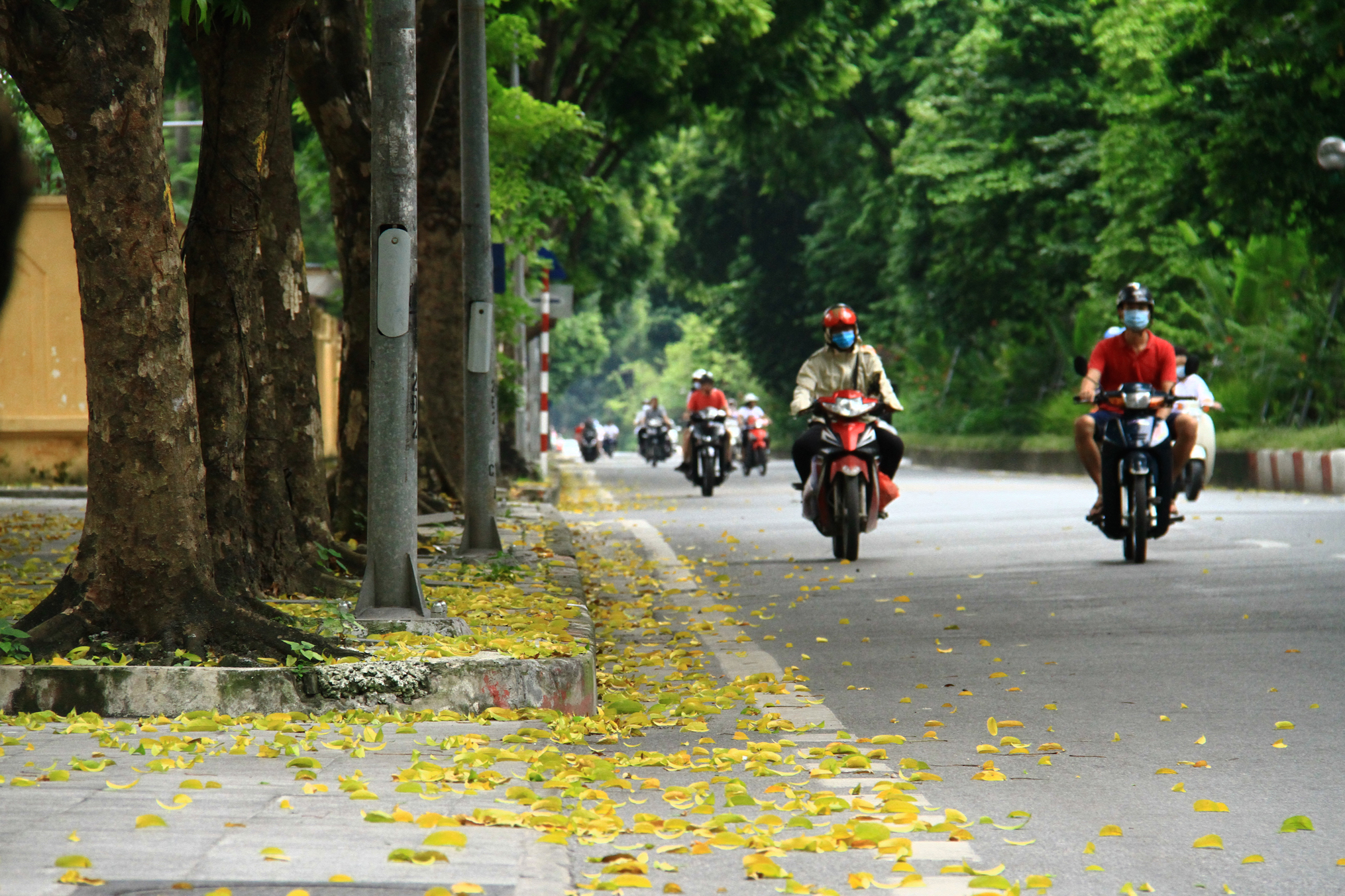 Hà Nội đang trong những ngày Thu đẹp nhất.