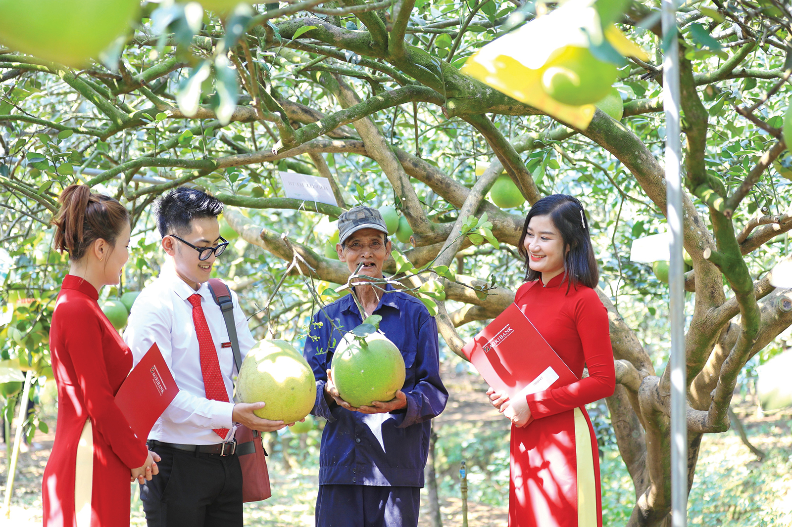 Tính đến 30/9/2025, dư nợ tín dụng xanh của Agribank đạt 28.355,5 tỷ đồng