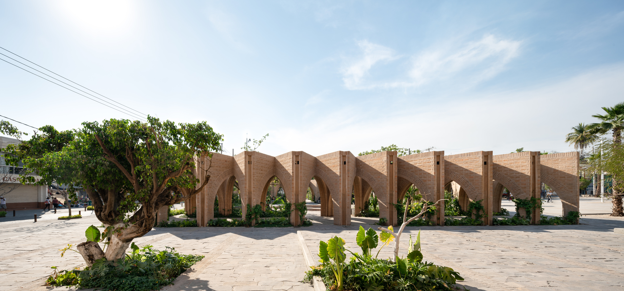 Khu vườn trung tâm Jojutla: Sức mạnh hồi sinh