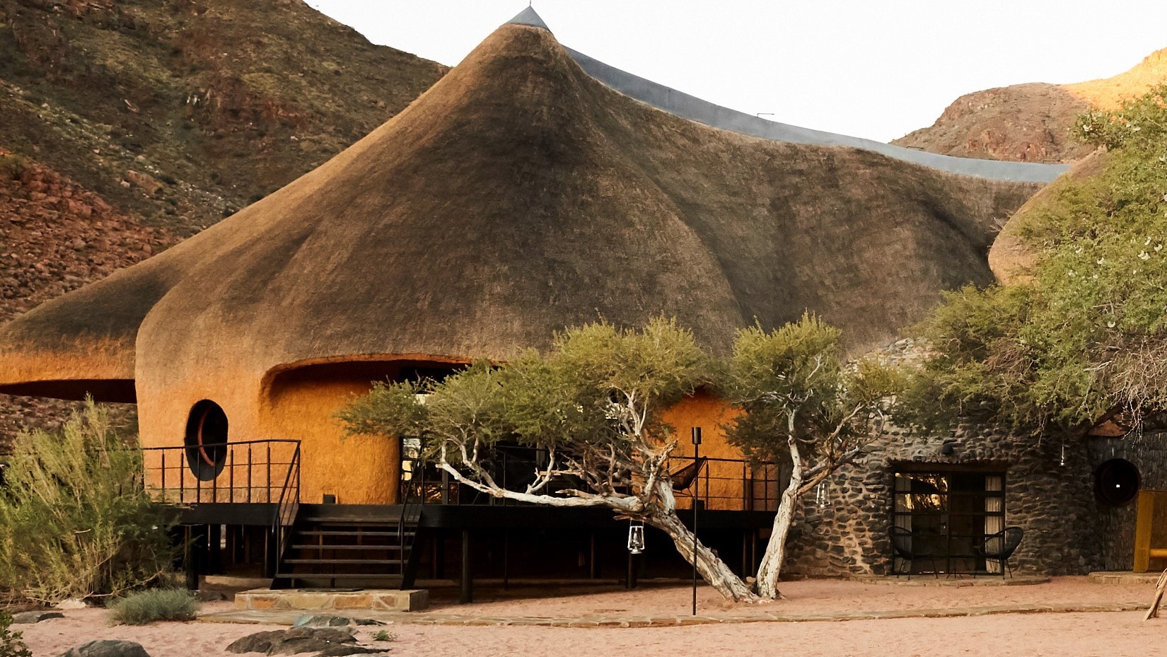 The Nest: Hành trình xây tổ