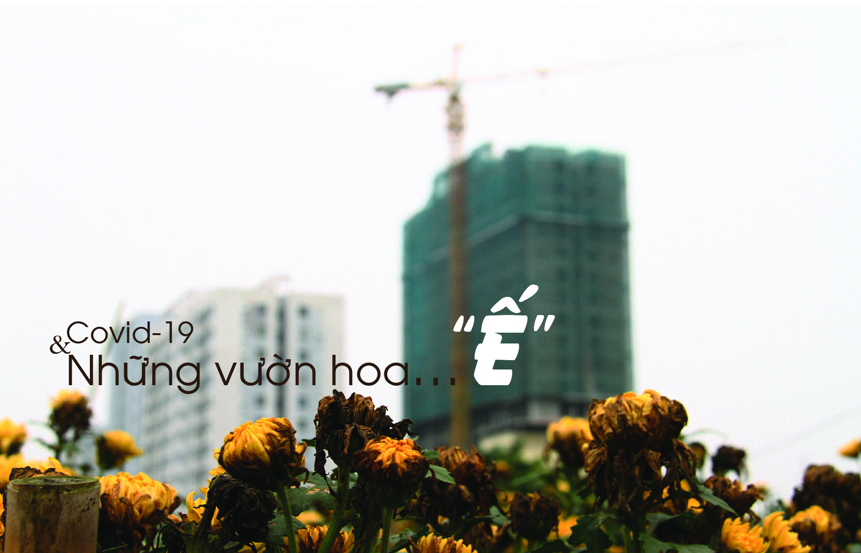 Ảnh: Thành Nguyễn.