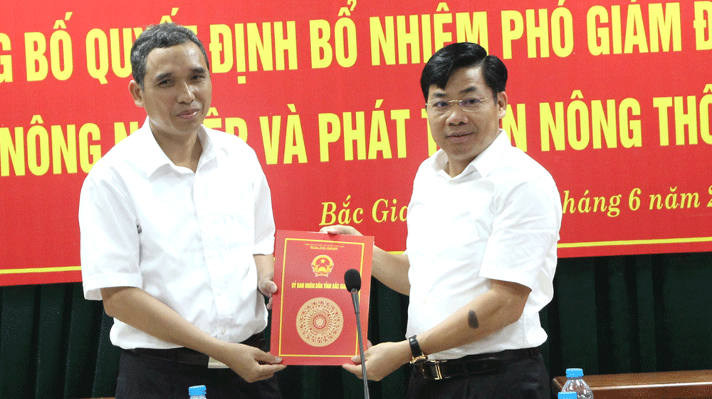 Kiện toàn nhân sự chủ chốt 5 tỉnh ảnh 2