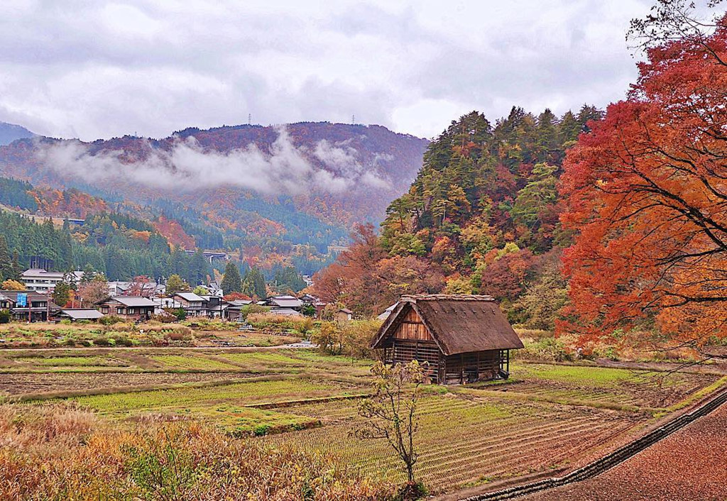 Làng Doraemon đẹp tựa cổ tích vào mùa thu Nhật Bản