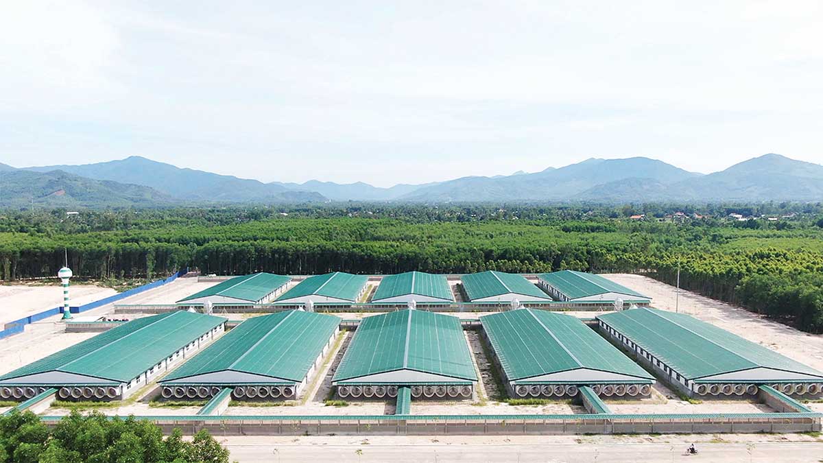 Gia Lai “thận trọng” trong phê duyệt dự án chăn nuôi mới