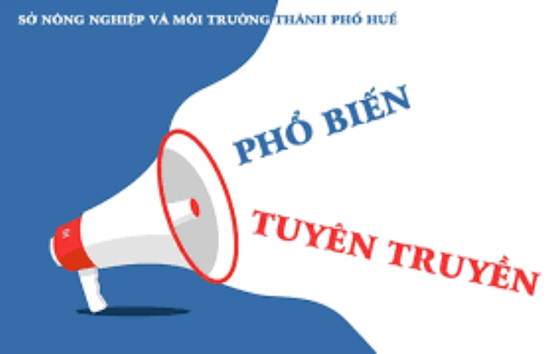 Huế: Đề nghị kỷ luật Giám đốc Sở NN&MT quyết toán hồ sơ giả gói thầu truyền thông