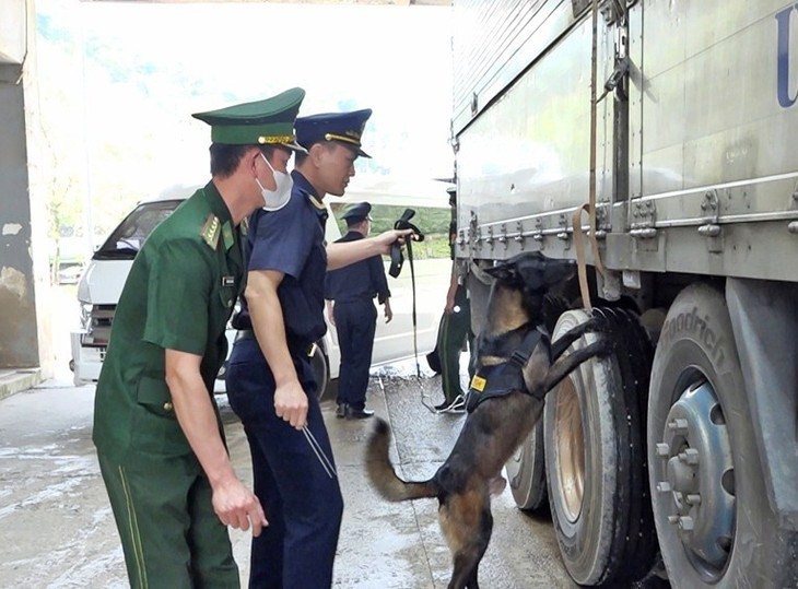 Triển khai kế hoạch tổng thể đẩy lùi buôn lậu và hàng giả đến năm 2030