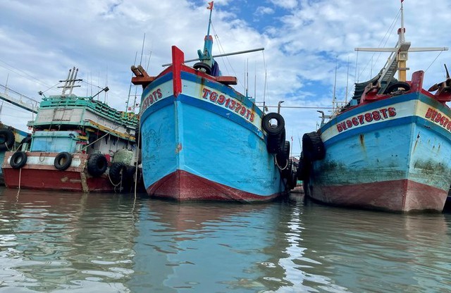 TP.HCM sẽ xử lý nghiêm ngư dân vi phạm IUU