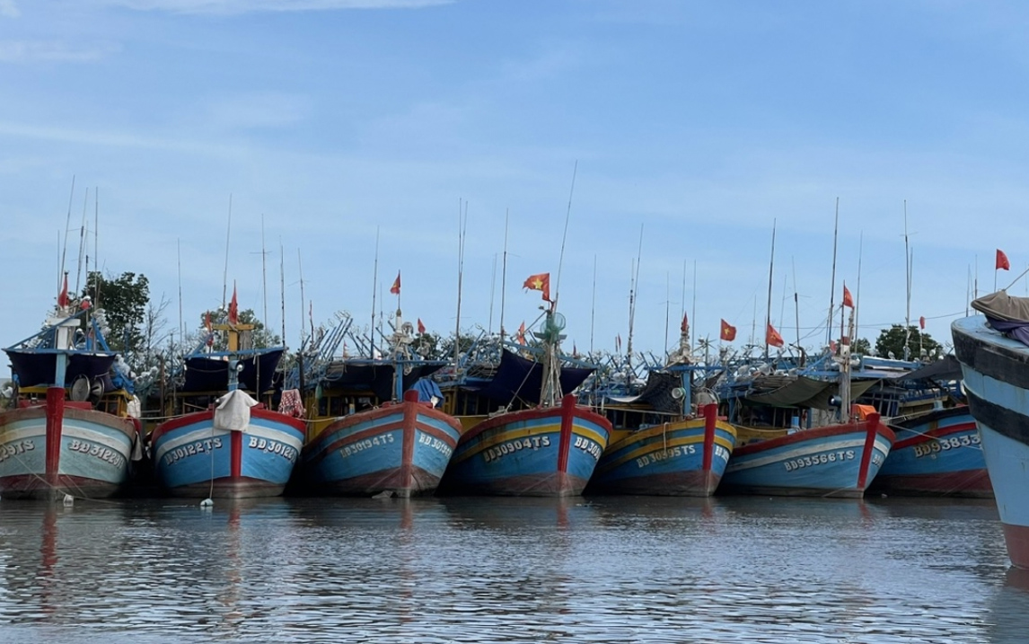 TP.HCM: Lập danh sách 226 tàu có nguy cơ cao vi phạm IUU để giám sát