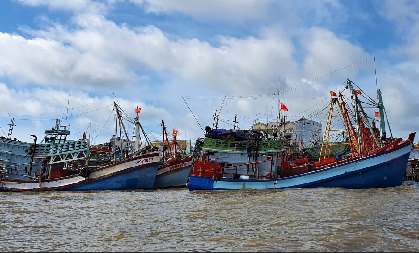 Chuyển hồ sơ sai phạm IUU ở Cà Mau sang Bộ Công an xem xét, điều tra