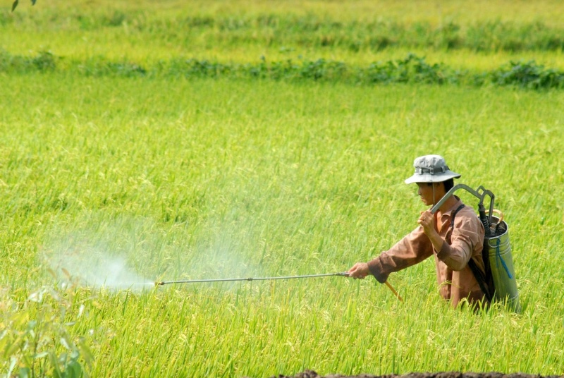 Bộ Nông nghiệp và Môi trường mở đợt cao điểm xử lý vật tư nông nghiệp giả