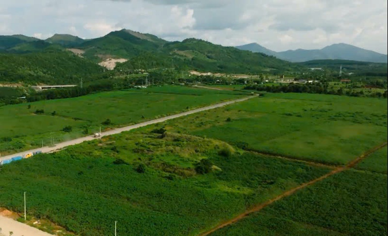 Quảng Ngãi thu hồi hơn 33 ha đất vi phạm của Công ty dược liệu và thực phẩm Măng Đen