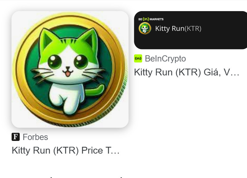 Đầu tư tiền ảo Kittyrun, hàng ngàn nhà đầu tư “nạp” 490 tỷ đồng tiền thật