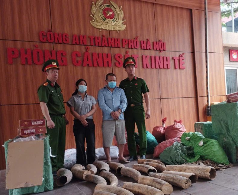 Bắt nhiều đối tượng trong đường dây buôn lậu ngà voi, thuốc lá lậu