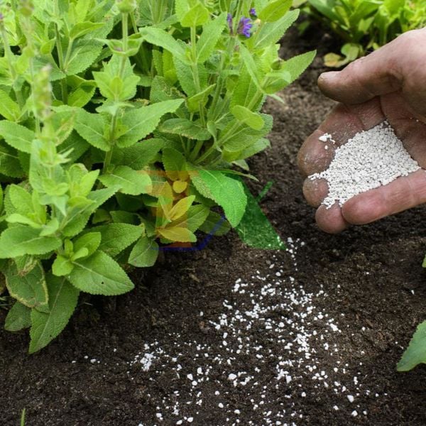 Chủ tịch Công ty Phân bón Hà Bắc bị khởi tố vì sản xuất phân bón giả