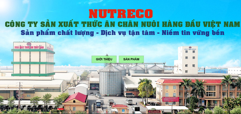 Bắc Ninh: Kiểm tra tại 2 KCN, phát hiện 8/10 doanh nghiệp vi phạm môi trường