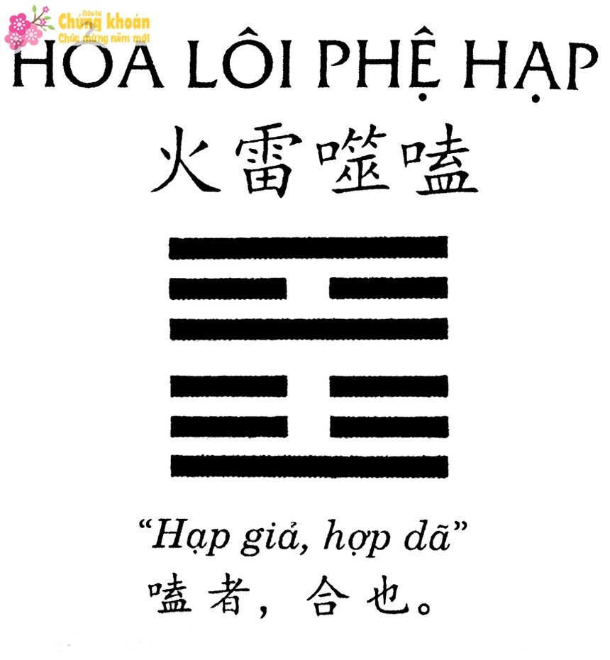 ảnh 2