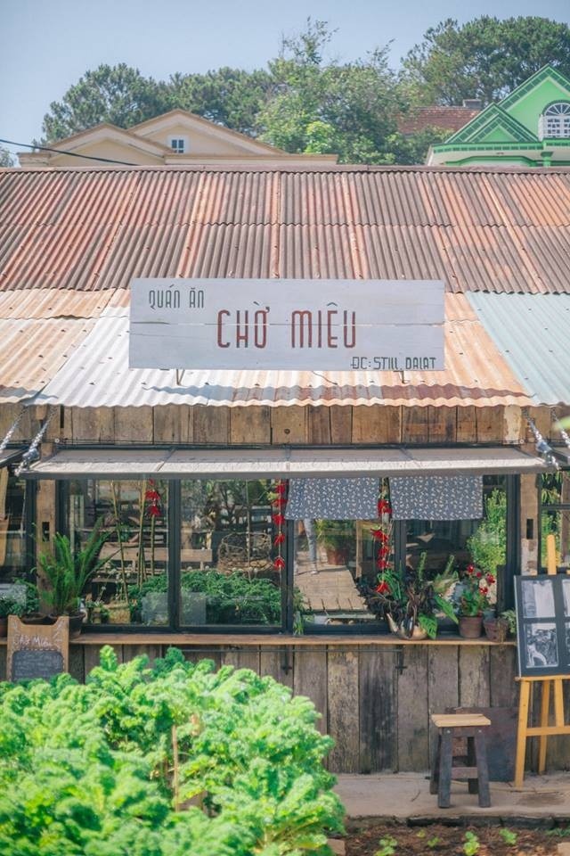 ảnh 7