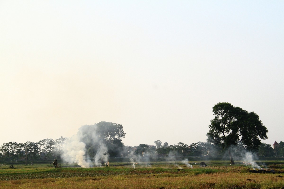 Tháng Chạp! ảnh 1