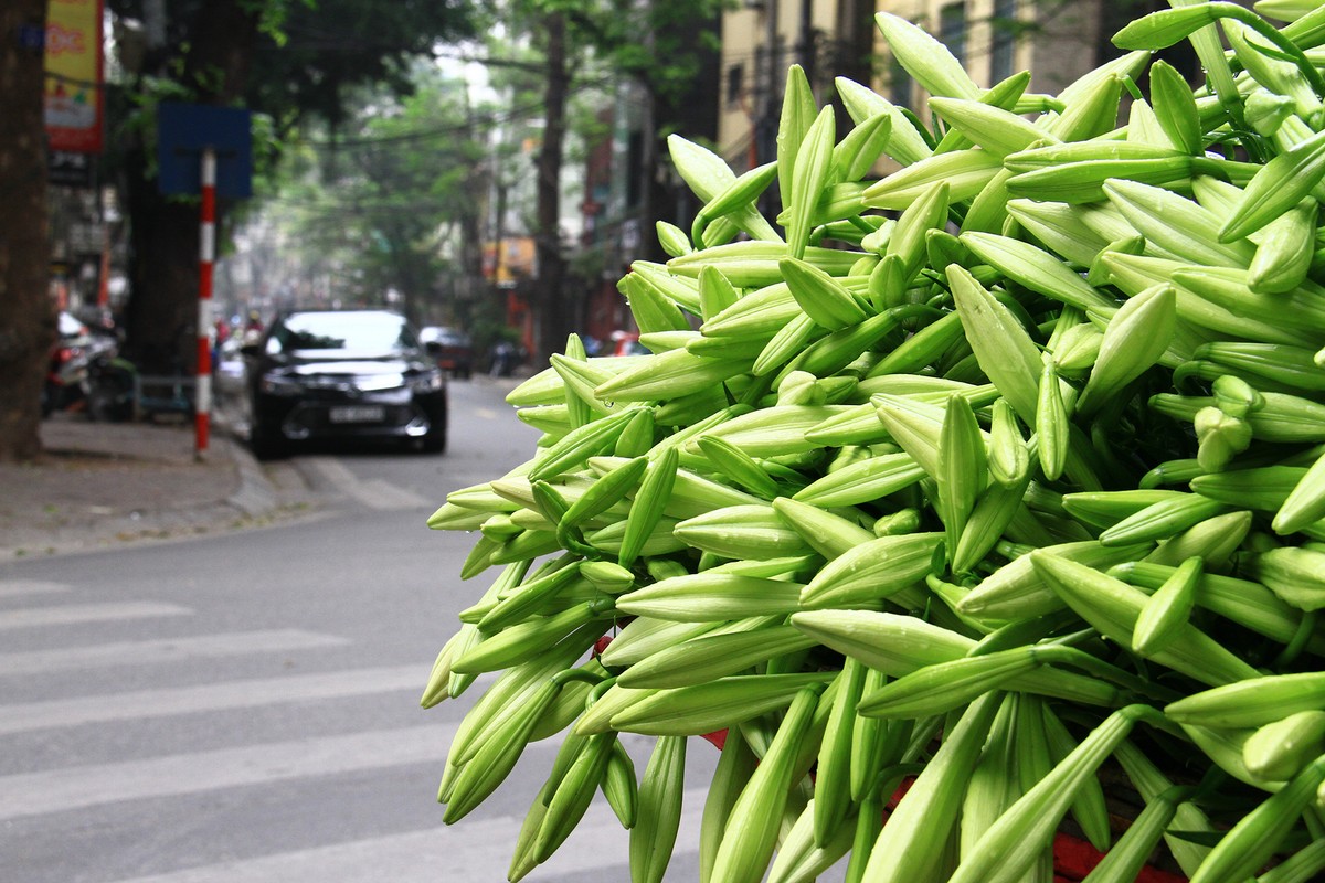 Tháng 3 đỏng đảnh như con gái ảnh 4