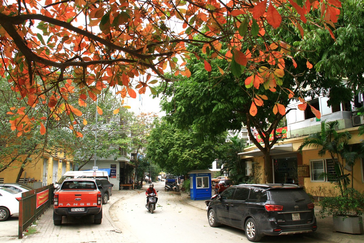 ảnh 1
