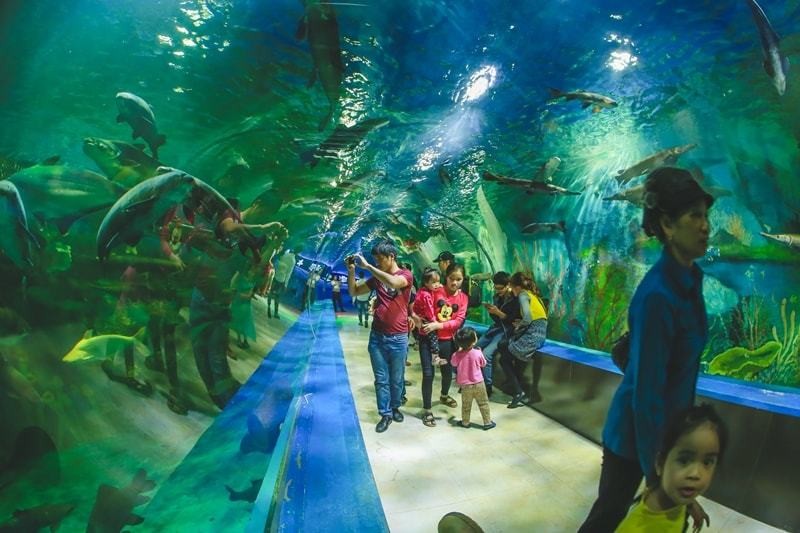 Địa điểm đi chơi Tết dương lịch quanh Hà Nội trong 1 ngày ảnh 2