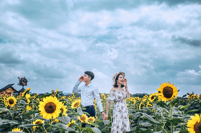 Cánh đồng hoa hướng dương gây sốt ở Bắc Giang ảnh 3